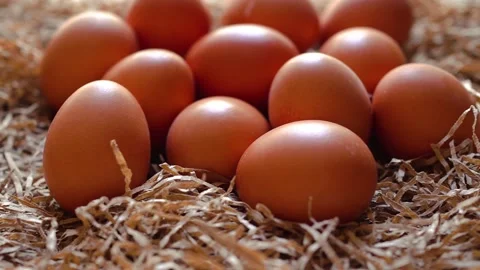 Fresh organic eggs on white background Stock Footage 324676881
