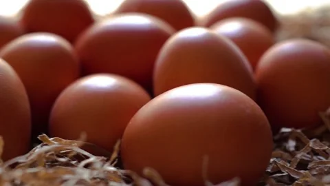 Fresh organic eggs on white background Stock Footage 324676894