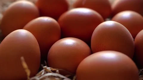 Fresh organic eggs on white background Stock Footage 324676896