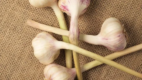 Fresh organic garlic bulbs rotating on burlap Stock Footage 344604267
