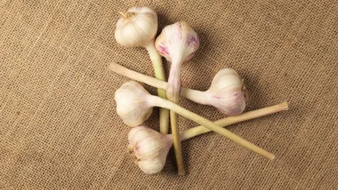 Fresh organic garlic rotating on burlap fabric Stock Footage 342437472