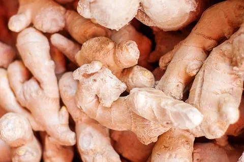 Fresh organic ginger on fresh market in thailand Stock Photos