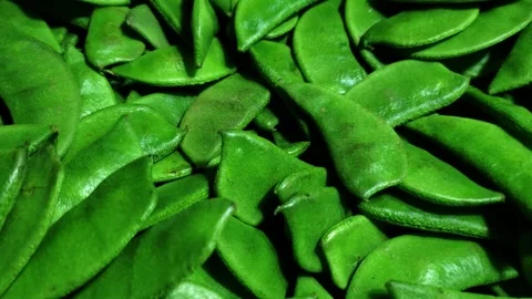 Fresh organic green beans footage. Stock Footage 293486653