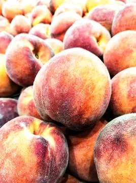 Fresh organic peaches. Large stack of freshly picked peaches Peaches - ripe f Stock Photos