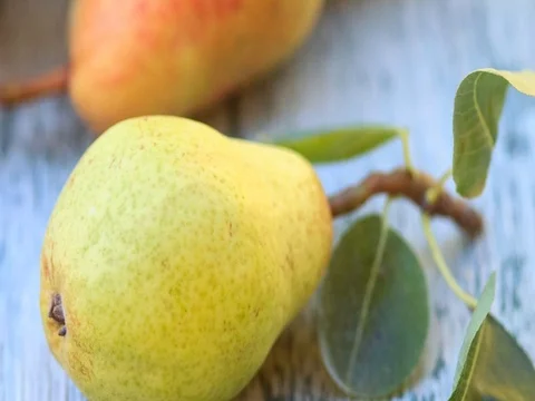 Fresh organic pears Stock Footage 71553690