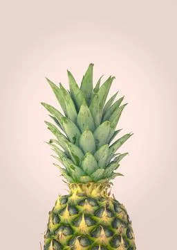 Fresh Organic Pineapple Design 库存照片