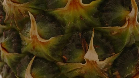 Fresh Organic Pineapple Stock Footage 109804402