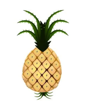 Fresh Organic Pineapple on A White Background Stock Illustration