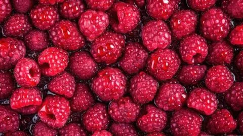 Fresh Organic Raspberry Berry Horizontal Background. Illustrazione stock