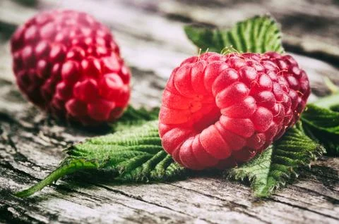 Fresh organic raspberry Stock Photos
