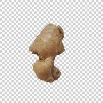 Fresh organic raw ginger root isolated for healthy cooking and herbal medicin Фото