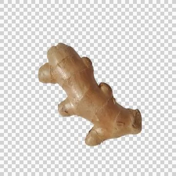 Fresh organic raw ginger root isolated on a plain surface Stock-Fotos