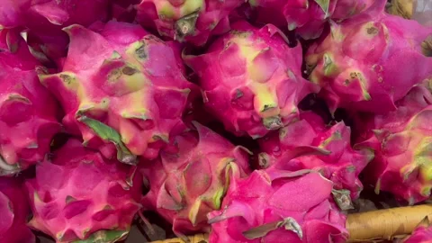 Fresh organic red dragon fruit pile at fruit market 库存影片 340485634