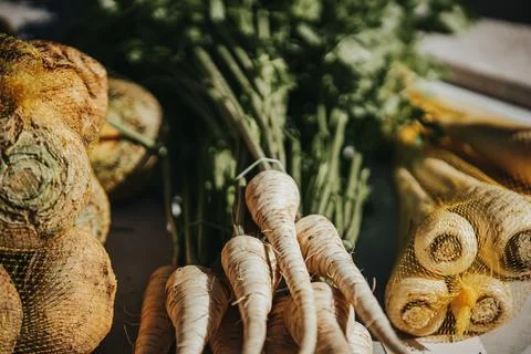 Fresh organic root vegetables including parsnips, carrots, and beets arrang.. Stock Photos
