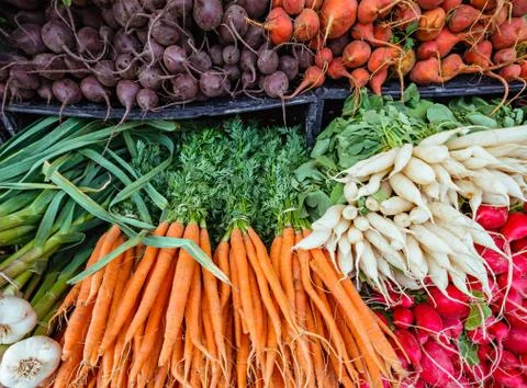 Fresh organic root vegetables at a local farmers market. Stock Photos