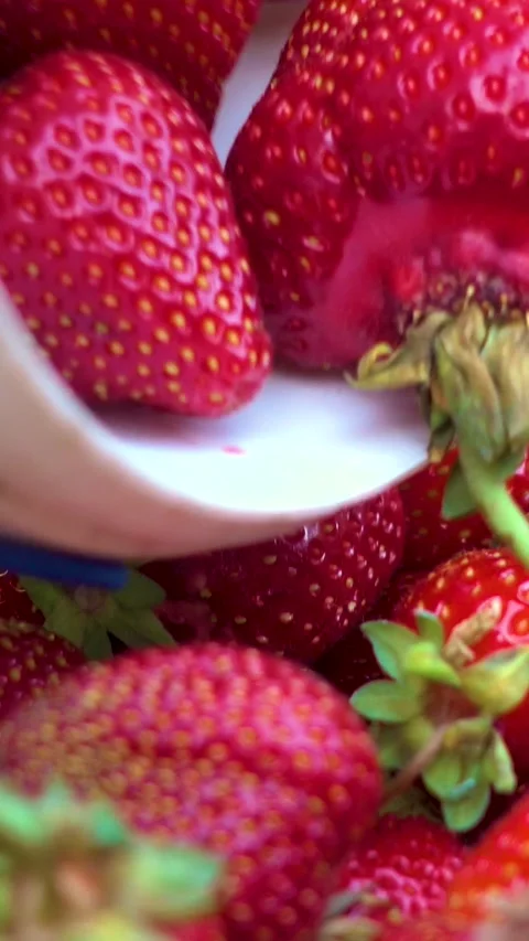 Fresh organic strawberries, vertical, vertical video. 動画素材 336489077