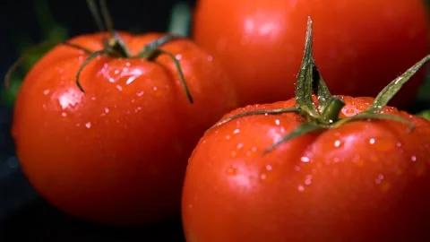 Fresh organic tomatoes on a dark background Stock Footage 240201836