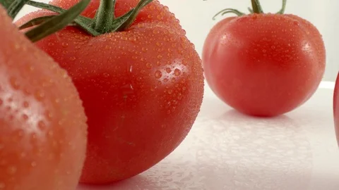 Fresh Organic Tomatoes 스톡 동영상 108306989