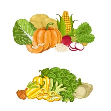Fresh organic vegetable isolated composition set Stock Illustration