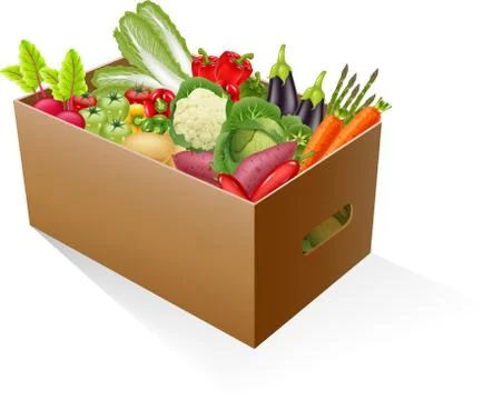 Fresh organic vegetables Stock Illustration