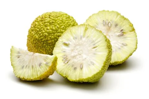 Fresh osage oranges or Maclura isolated Foto stock