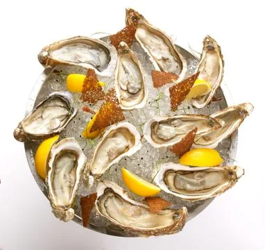 Fresh oyster in the bowl with ice Stock Photos
