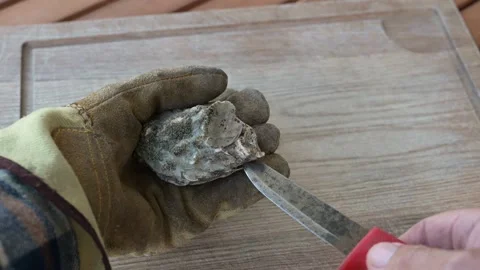 A fresh oyster in a gloved hand is opened by a knife Video stock 213202953