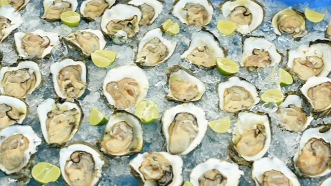 Fresh Oyster on half shell on big plate in restaurant Stock Footage 107271121