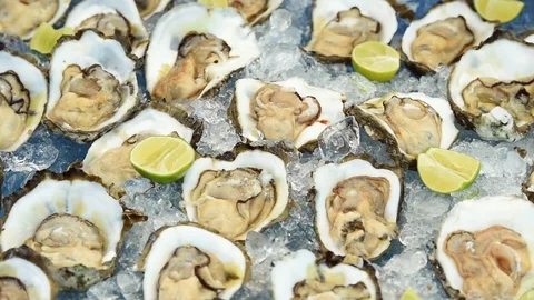 Fresh Oyster on half shell on big plate in restaurant Stock Footage 107271238