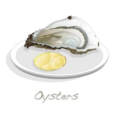 Fresh oyster image set Stock Illustration