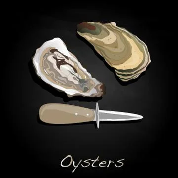 Fresh oyster image set Stock Illustration