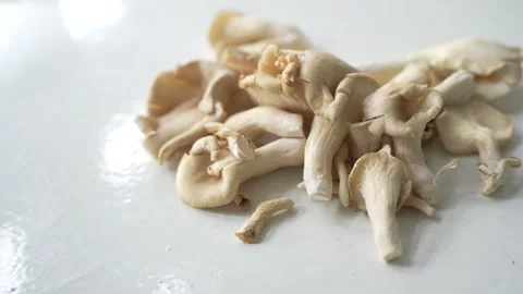 Fresh oyster mushrooms Stock Footage 339061829