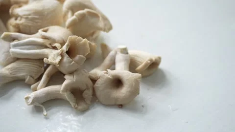 Fresh oyster mushrooms Stock Footage 339063044