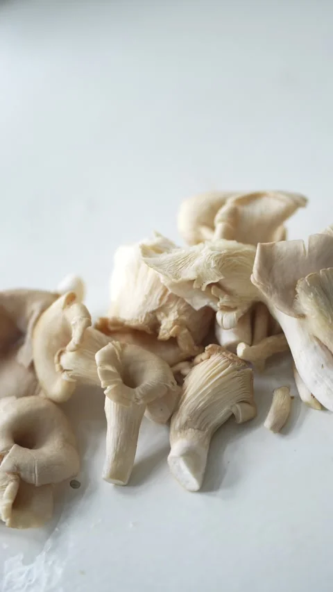 Fresh oyster mushrooms Stock Footage 339069044