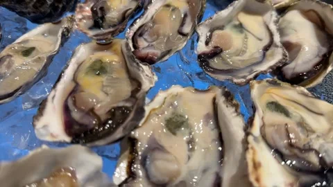 Fresh oysters on half shell shown in close-up Stock Footage 316812767