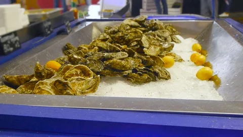 Fresh oysters in shells mixed with ice cubes, storing oysters, live oysters Stock-Footage 84252150