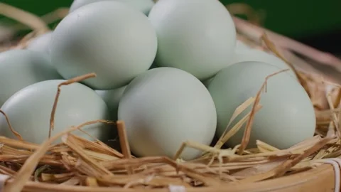 Fresh Pale Blue Eggs Nestled in Straw Basket Close-up Vidéo 336548703