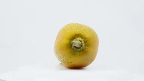Fresh Papaya Rotating on White Background Video stock 326976822