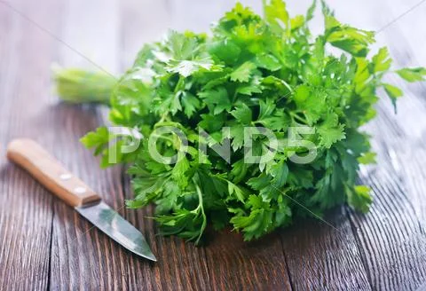 Fresh parsley and knife on the wooden table Stock Photos