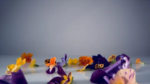 Fresh parsley falling on water surface. Slow Motion. Stock Footage 128772310