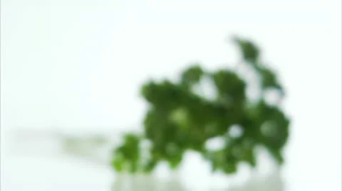 Fresh parsley Stock Footage 11305914