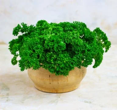 Fresh parsley on a light background. A bunch of parsley, vegetarianism Stock Photos