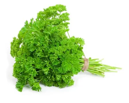 Fresh parsley Stock Photos