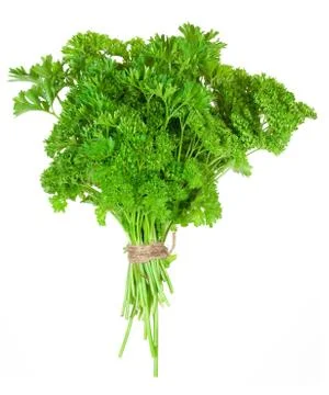 Fresh parsley Stock Photos