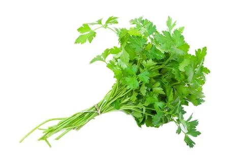 Fresh parsley Stock Photos