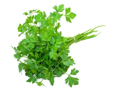 Fresh parsley Stock Photos