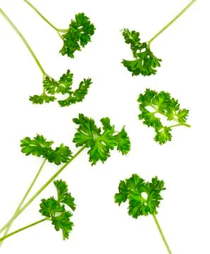 Fresh parsley Foto stock