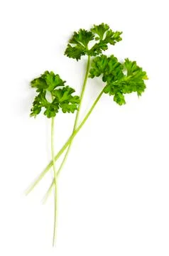 Fresh parsley Foto stock