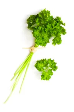 Fresh parsley Foto stock