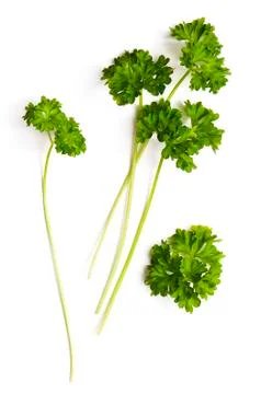 Fresh parsley Stock Photos